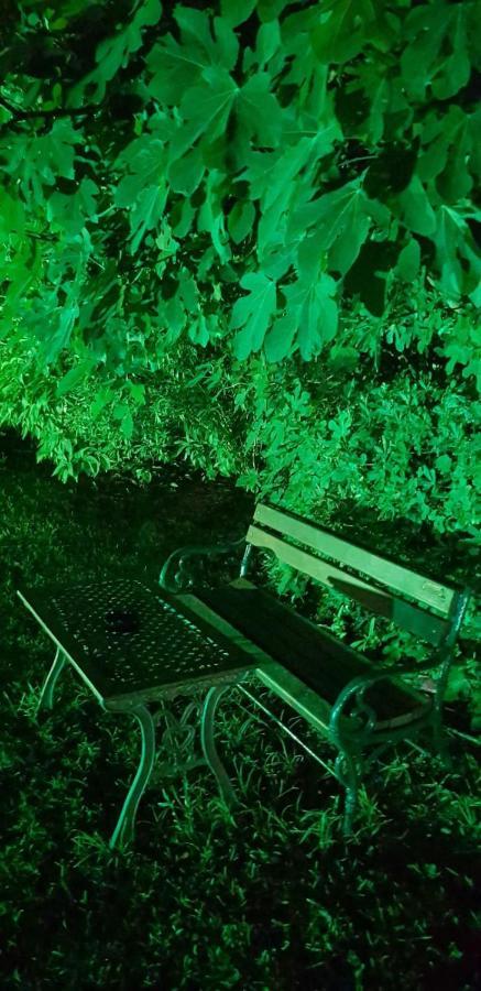 Naturist Angel Nudist Club Hotel - Adults Only Paradeísion Esterno foto